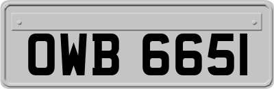 OWB6651