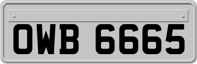 OWB6665