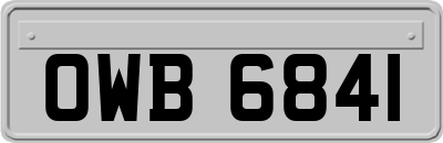 OWB6841
