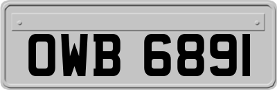 OWB6891