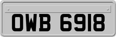 OWB6918