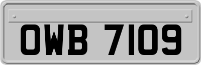 OWB7109
