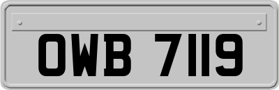 OWB7119