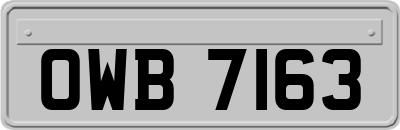 OWB7163