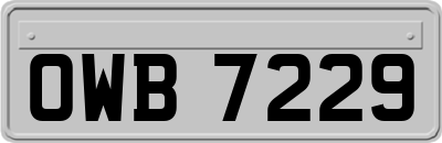 OWB7229