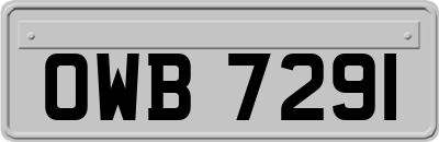 OWB7291