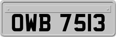 OWB7513