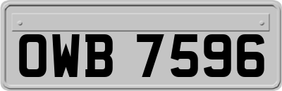 OWB7596