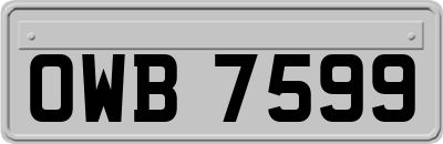 OWB7599