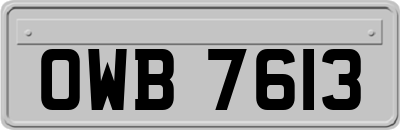 OWB7613