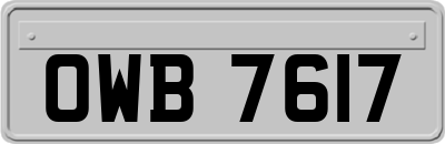 OWB7617