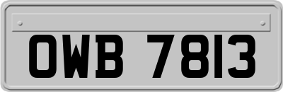 OWB7813