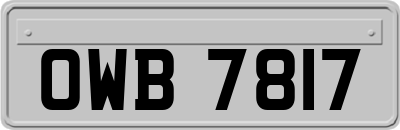 OWB7817