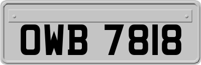 OWB7818