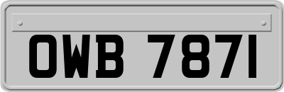 OWB7871