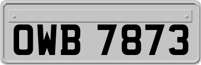 OWB7873