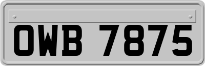 OWB7875