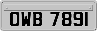 OWB7891