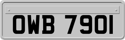 OWB7901