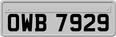 OWB7929