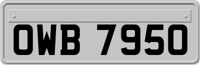 OWB7950