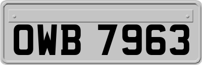 OWB7963