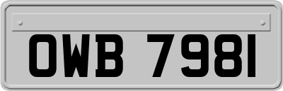 OWB7981