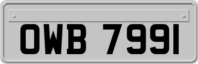 OWB7991