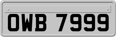 OWB7999