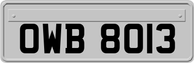 OWB8013