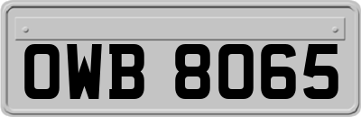 OWB8065