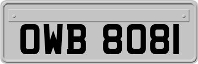 OWB8081