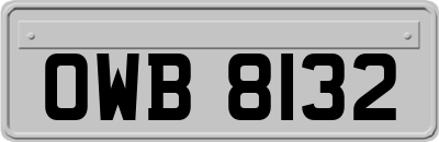 OWB8132