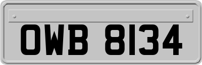 OWB8134
