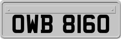 OWB8160