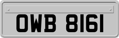 OWB8161