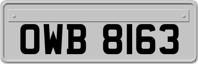 OWB8163