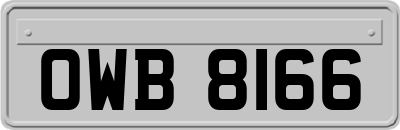 OWB8166