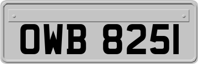 OWB8251