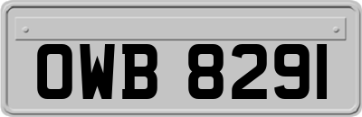 OWB8291