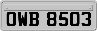 OWB8503