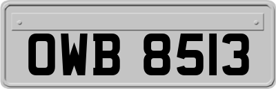 OWB8513