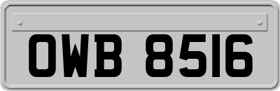 OWB8516