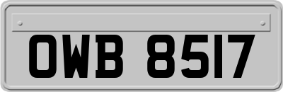 OWB8517