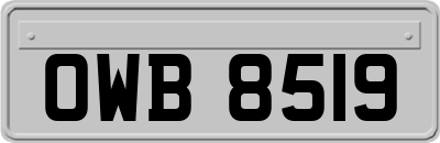 OWB8519