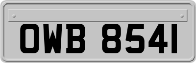 OWB8541