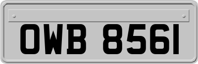 OWB8561