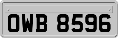 OWB8596