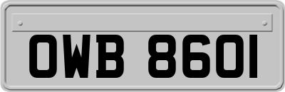 OWB8601