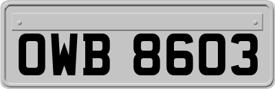 OWB8603